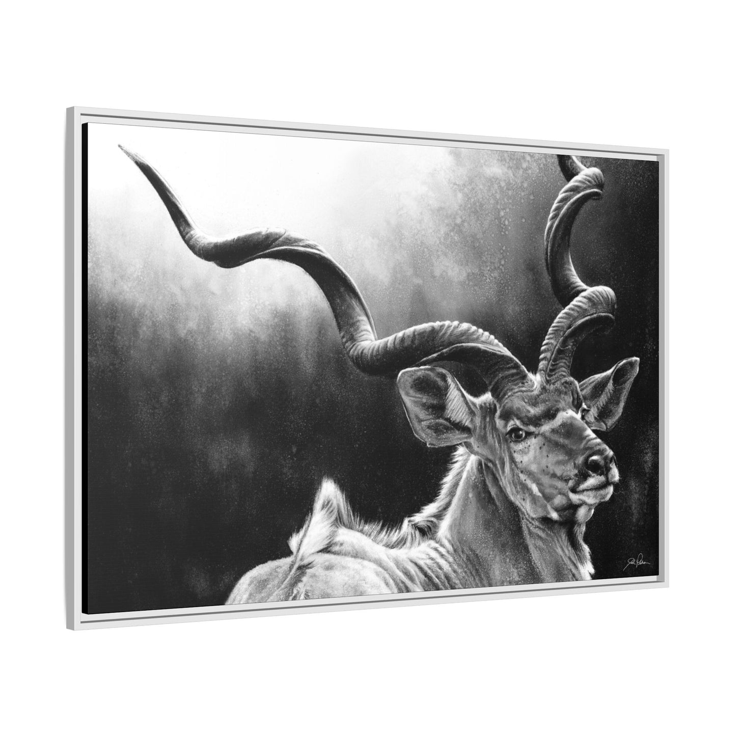 "Kudu" Framed Canvas