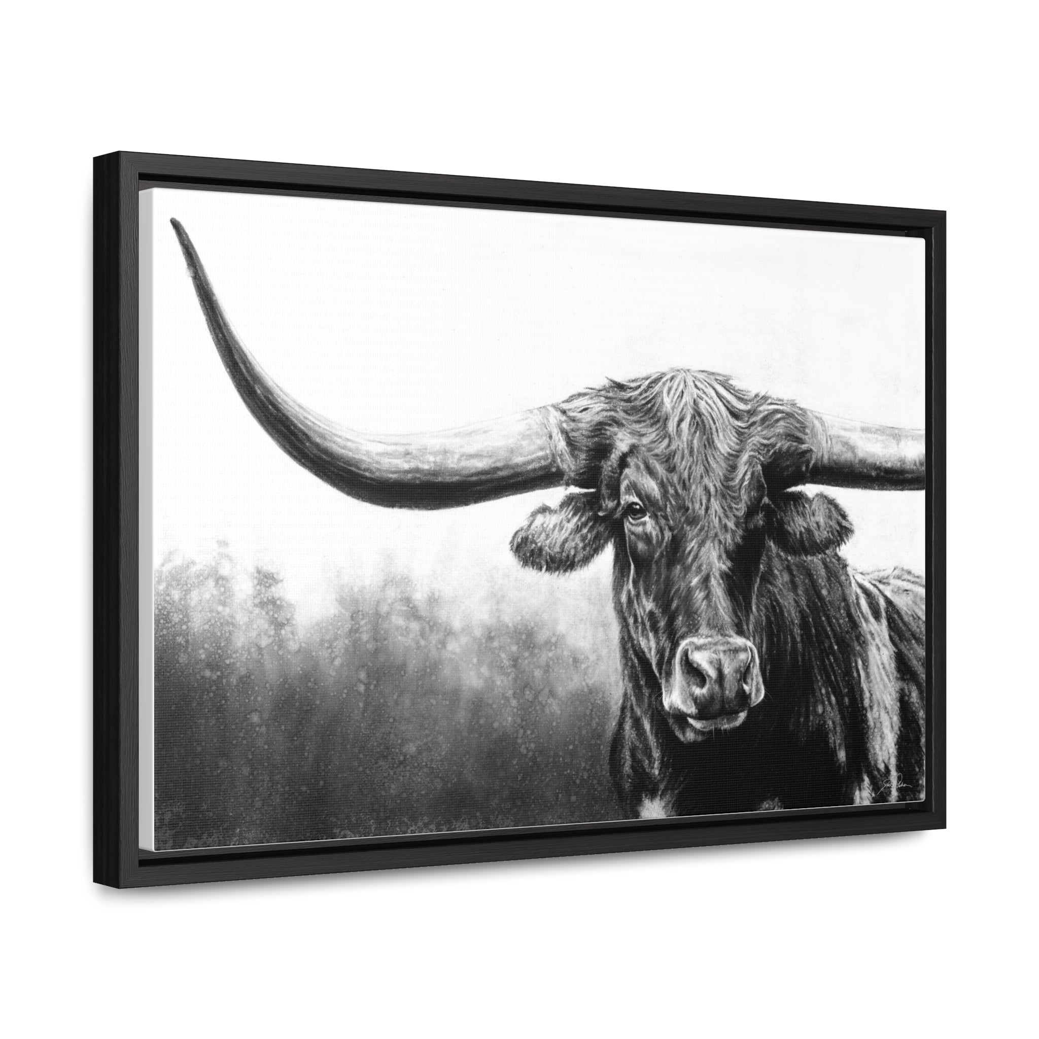 "Longhorn" Gallery Wrapped/Framed Canvas