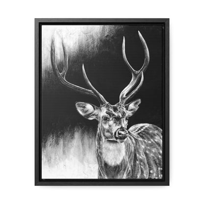 "Axis Buck" Gallery Wrapped/Framed Canvas