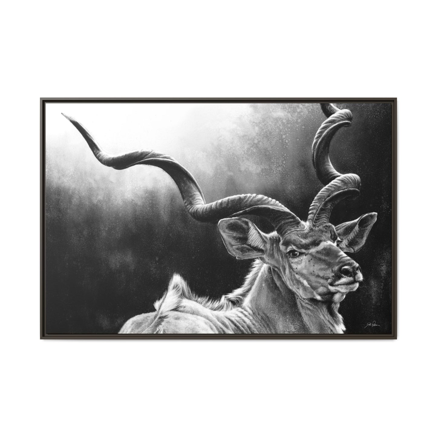 "Kudu" Framed Canvas