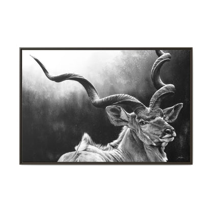 "Kudu" Framed Canvas