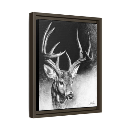 "Whitetail Buck" Framed Canvas