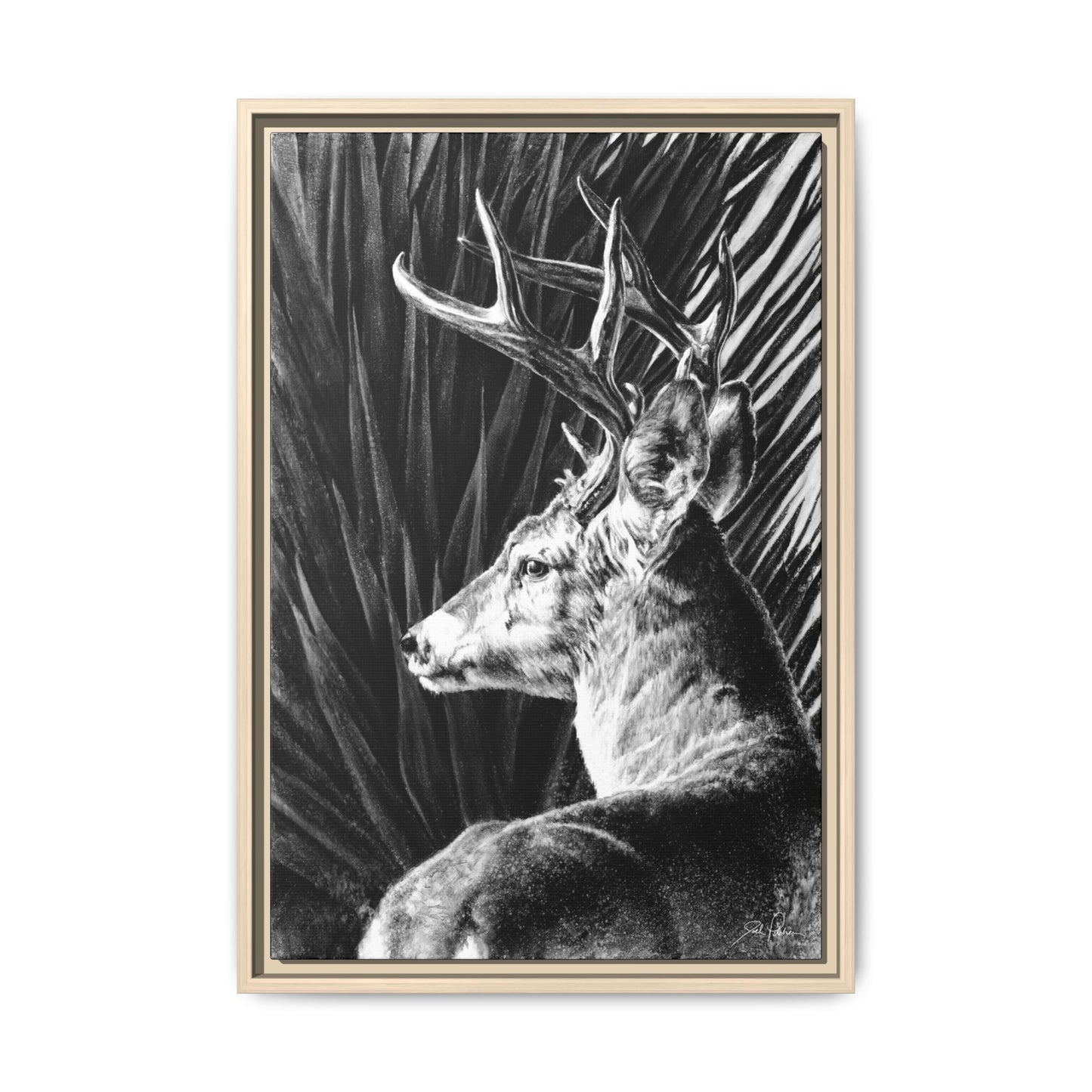 "Coues Buck" Framed Canvas
