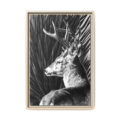 "Coues Buck" Framed Canvas