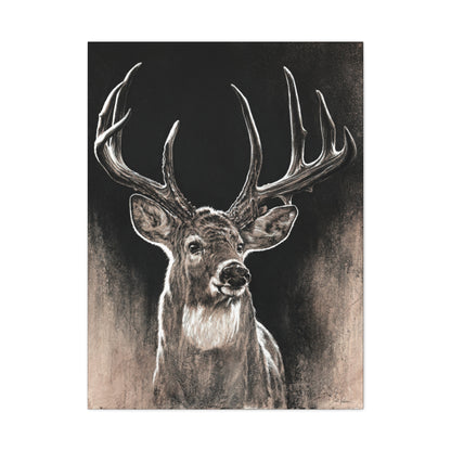 "Backlit Buck" Stretched Canvas