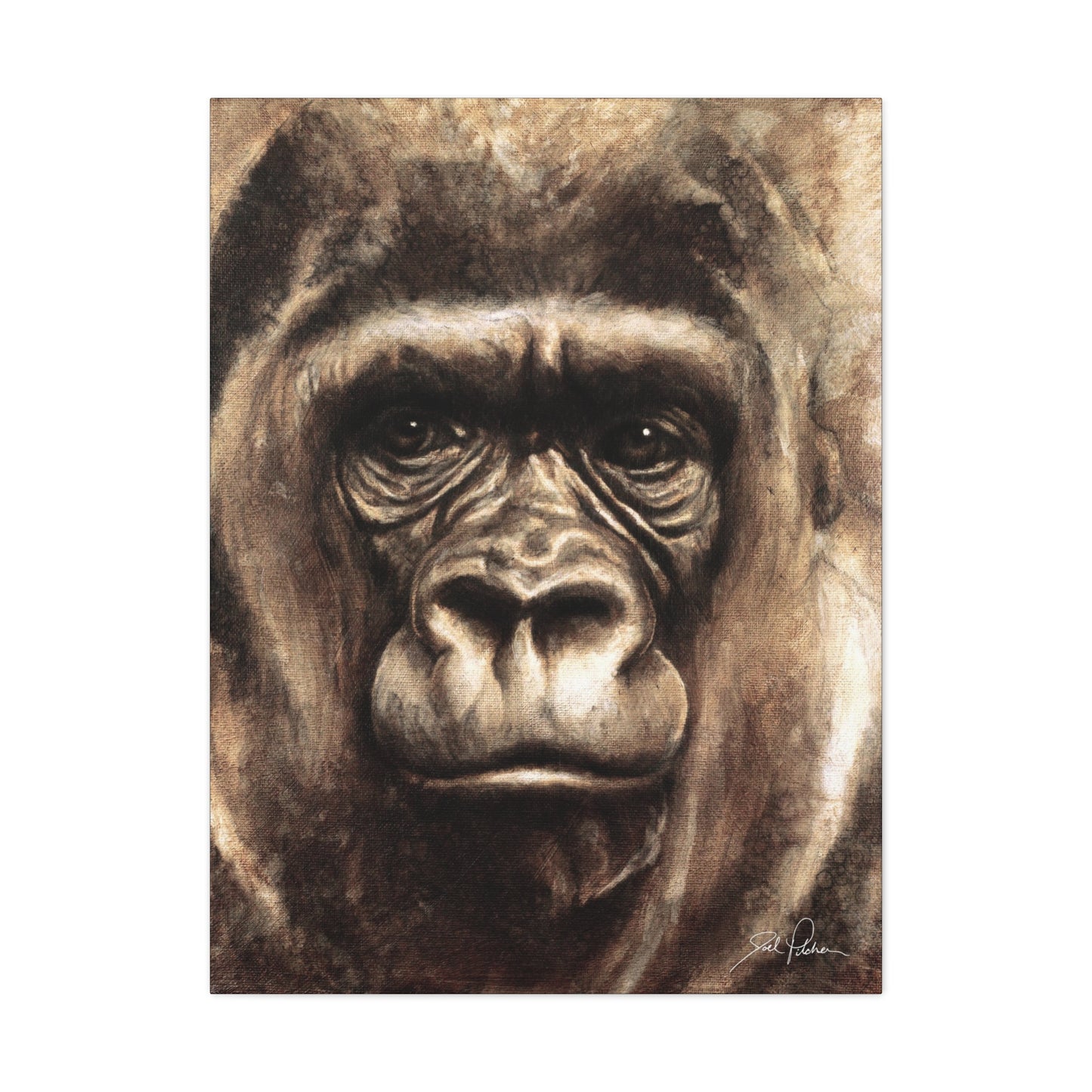 "Gorilla" Gallery Wrapped Canvas