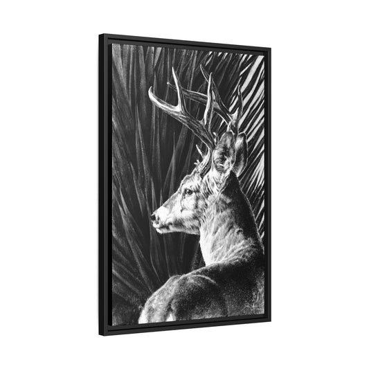 "Coues Buck" Framed Canvas