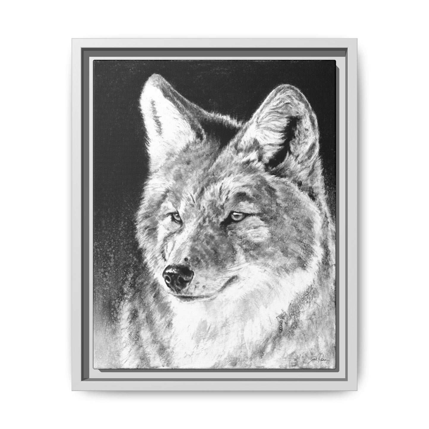 "Coyote II" Framed Canvas