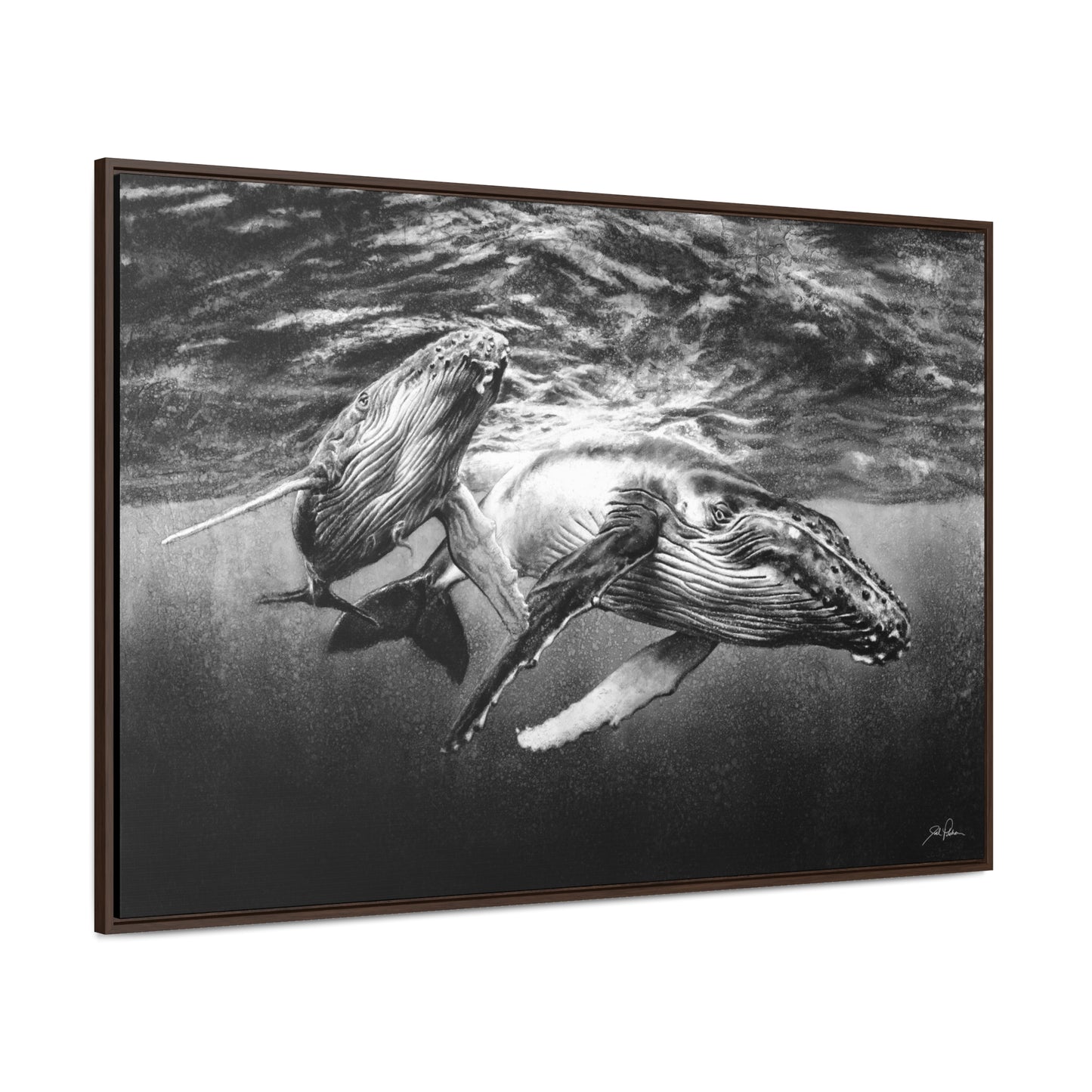 "Humpback Whales" Gallery Wrapped/Framed Canvas