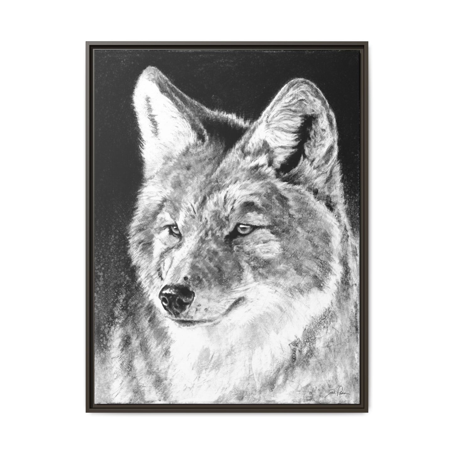 "Coyote II" Framed Canvas
