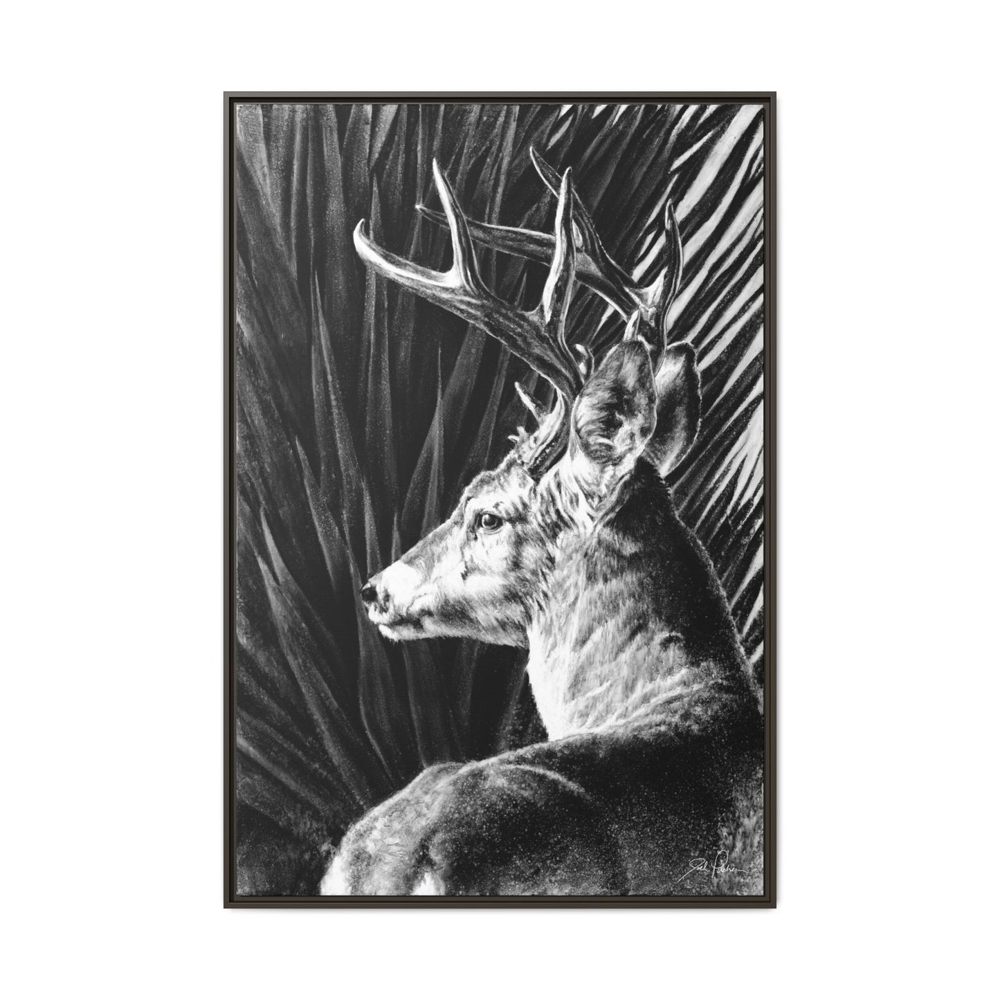 "Coues Buck" Framed Canvas