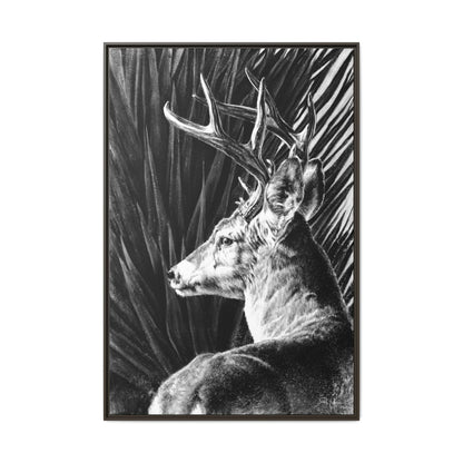 "Coues Buck" Framed Canvas