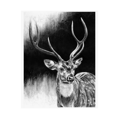 "Axis Buck" Premium Matte Paper Print.