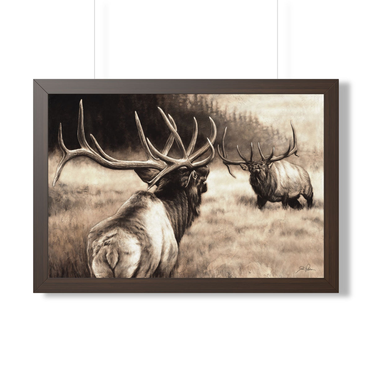 "Ready to Rumble" Framed Paper Print