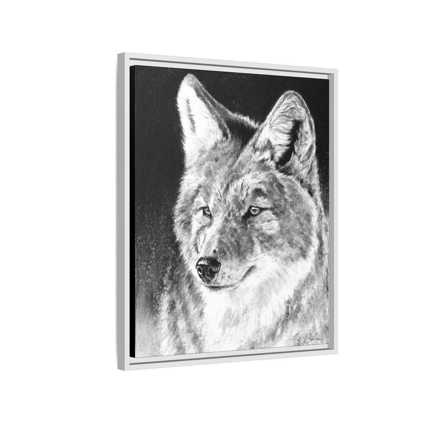 "Coyote II" Framed Canvas