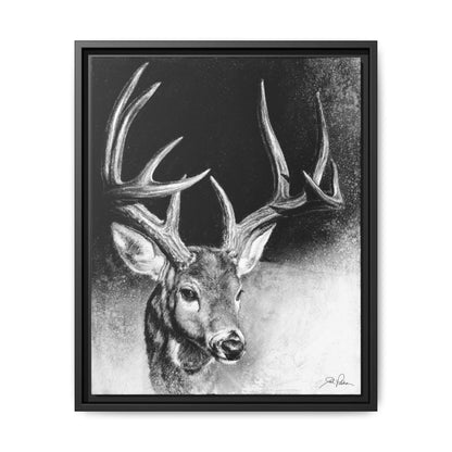 "Whitetail Buck" Framed Canvas
