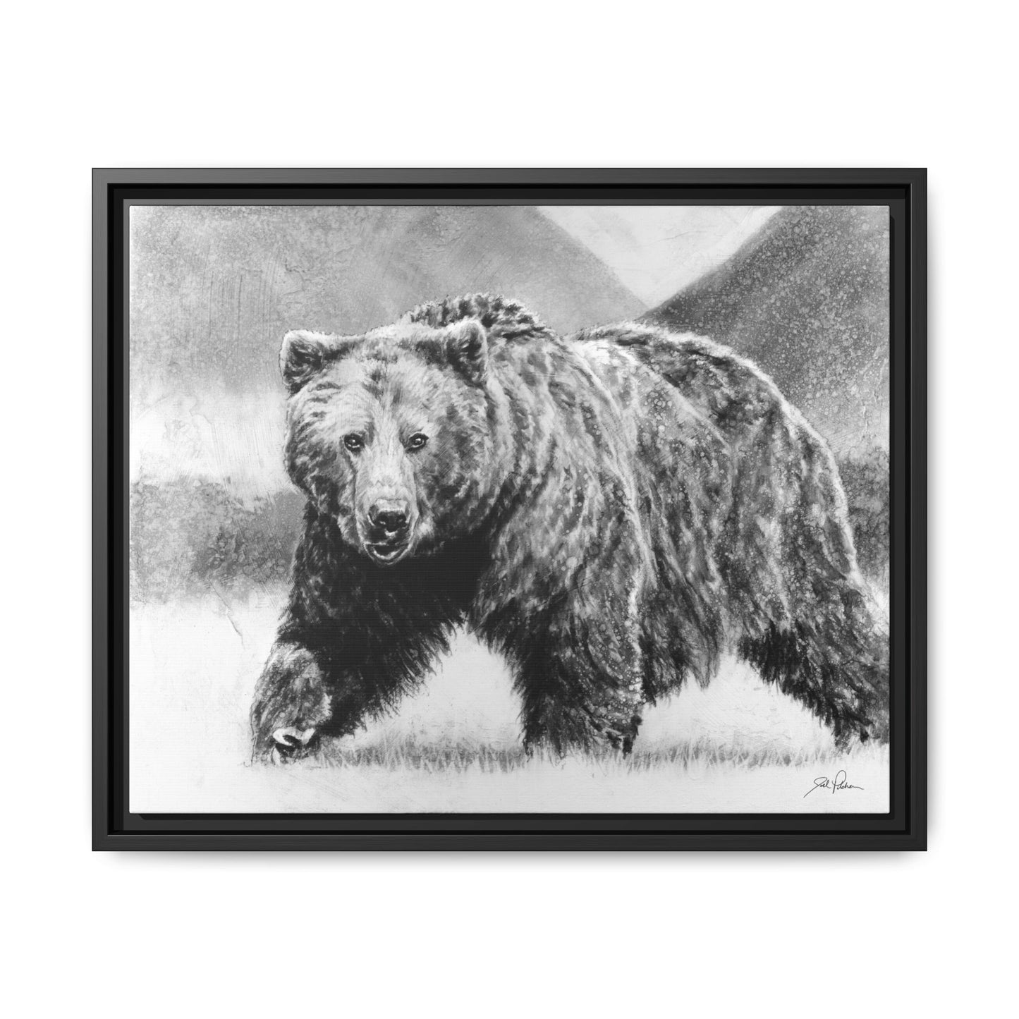 Grizzly II" Framed Canvas