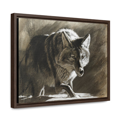 "Coyote" Gallery Wrapped/Framed Canvas