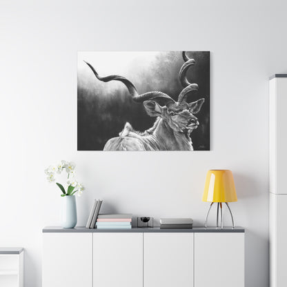 "Kudu" Stretched Canvas