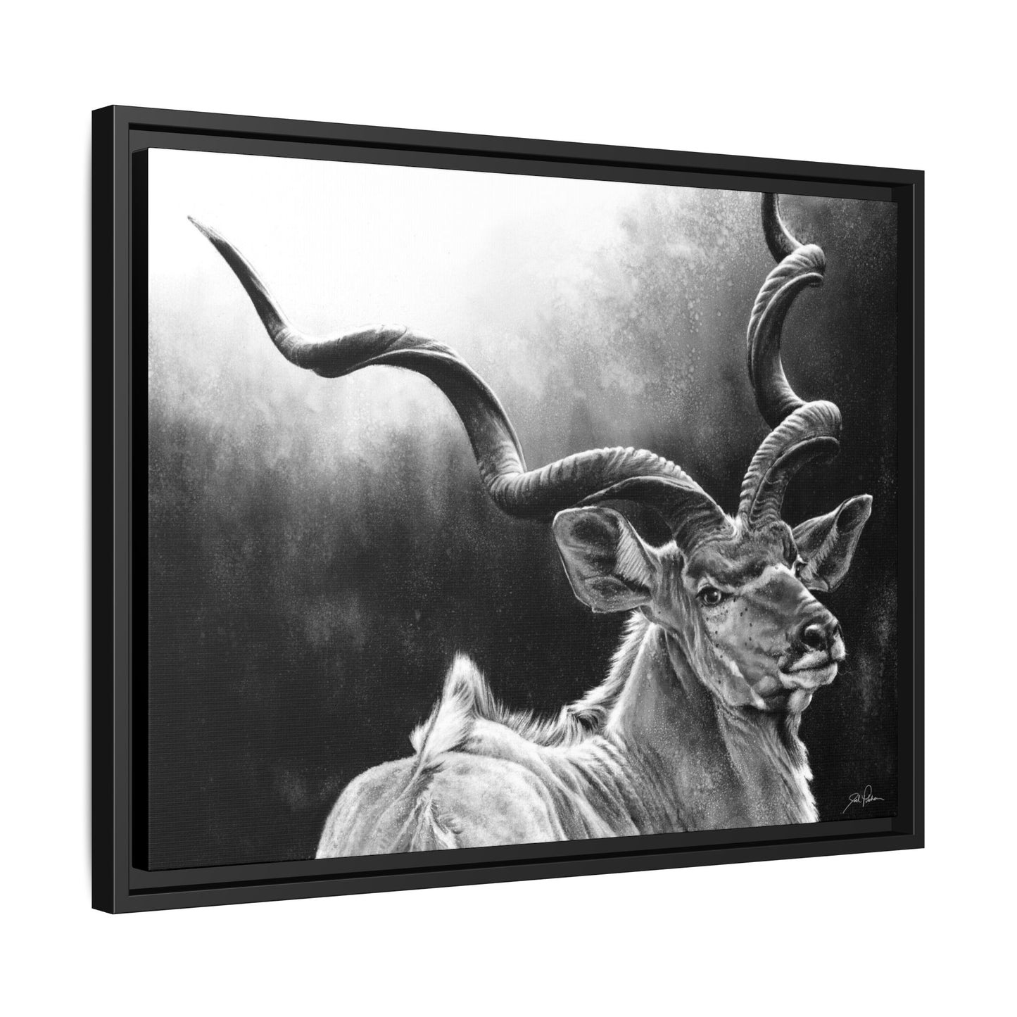 "Kudu" Framed Canvas