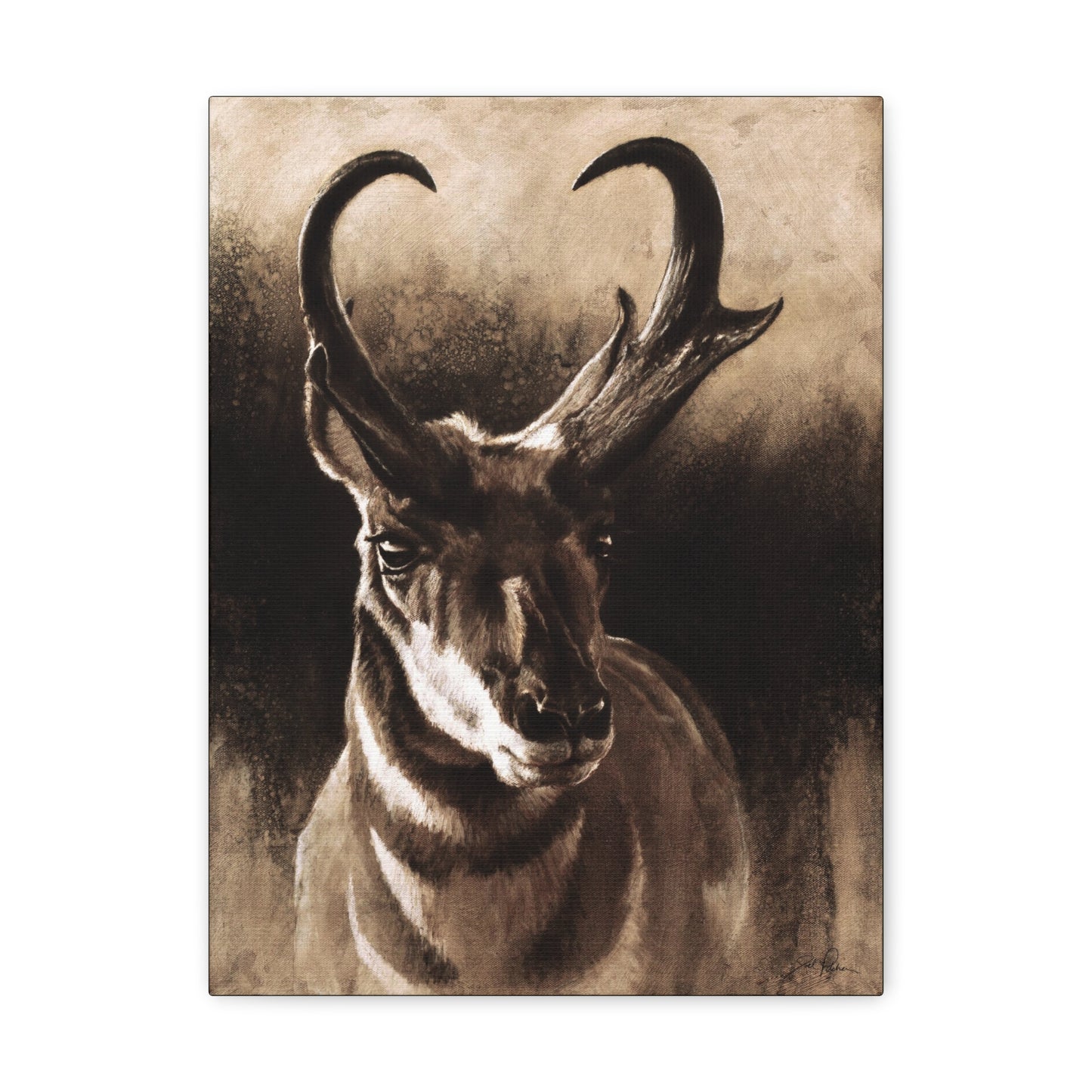 "Pronghorn" Gallery Wrapped Canvas.