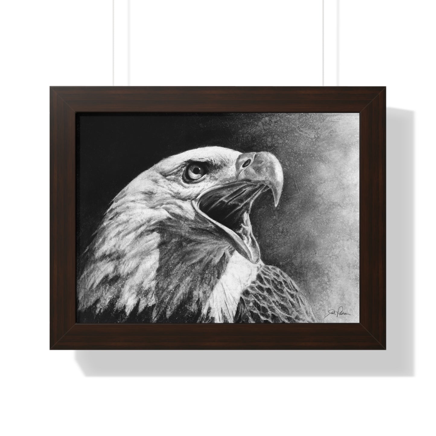 "Bald Eagle" Framed Paper Print