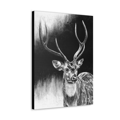 "Axis Buck" Gallery Wrapped Canvas