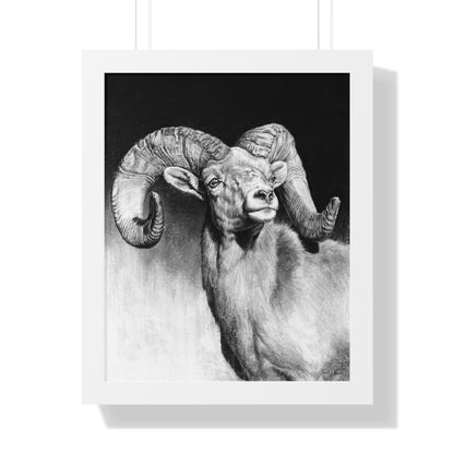 "Bighorn" Framed Paper Print