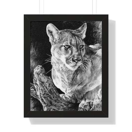 "Mountain Lion" Framed Paper Print