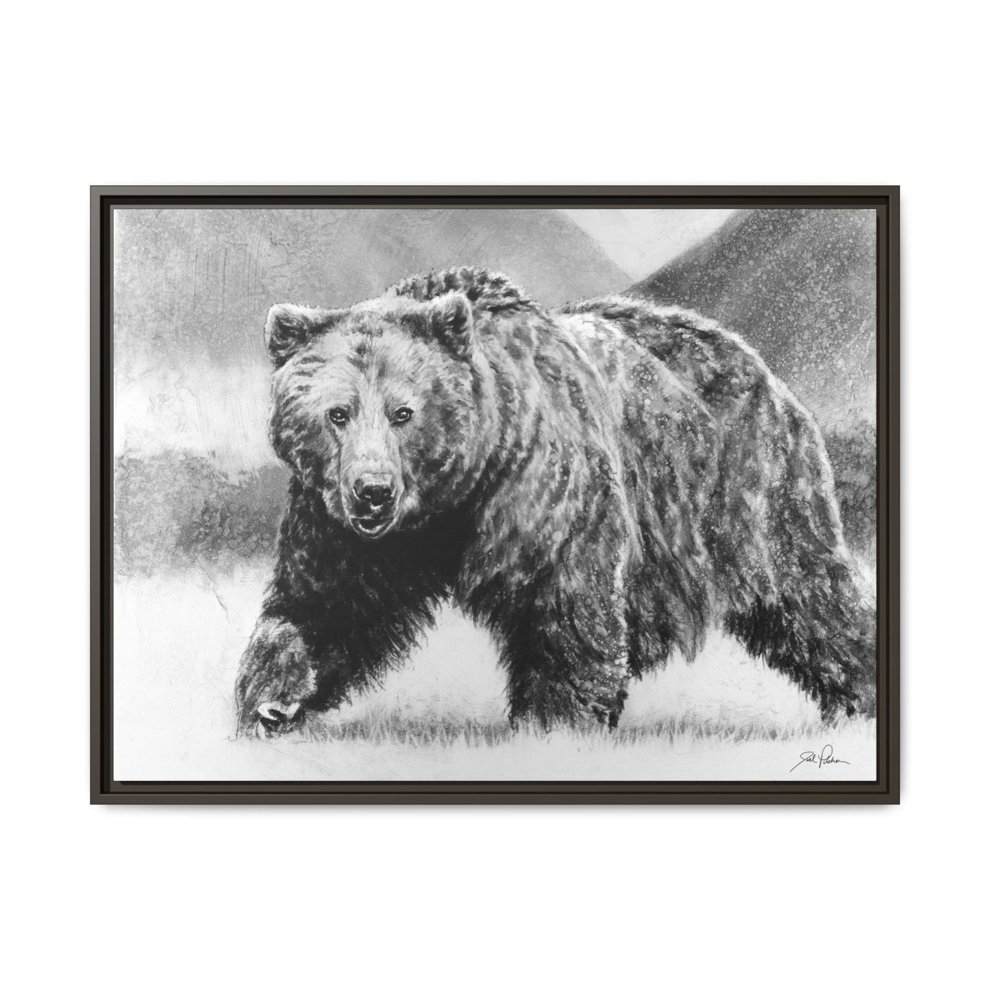 Grizzly II" Framed Canvas