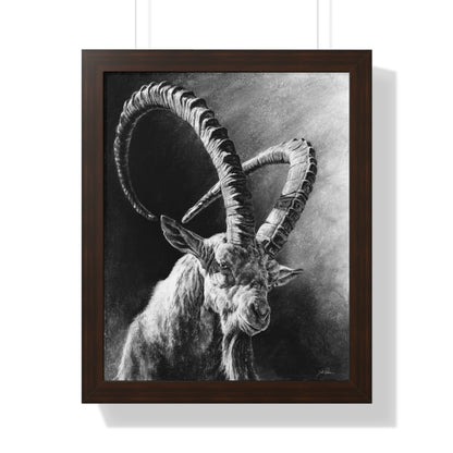 "Ibex" Framed Paper Print