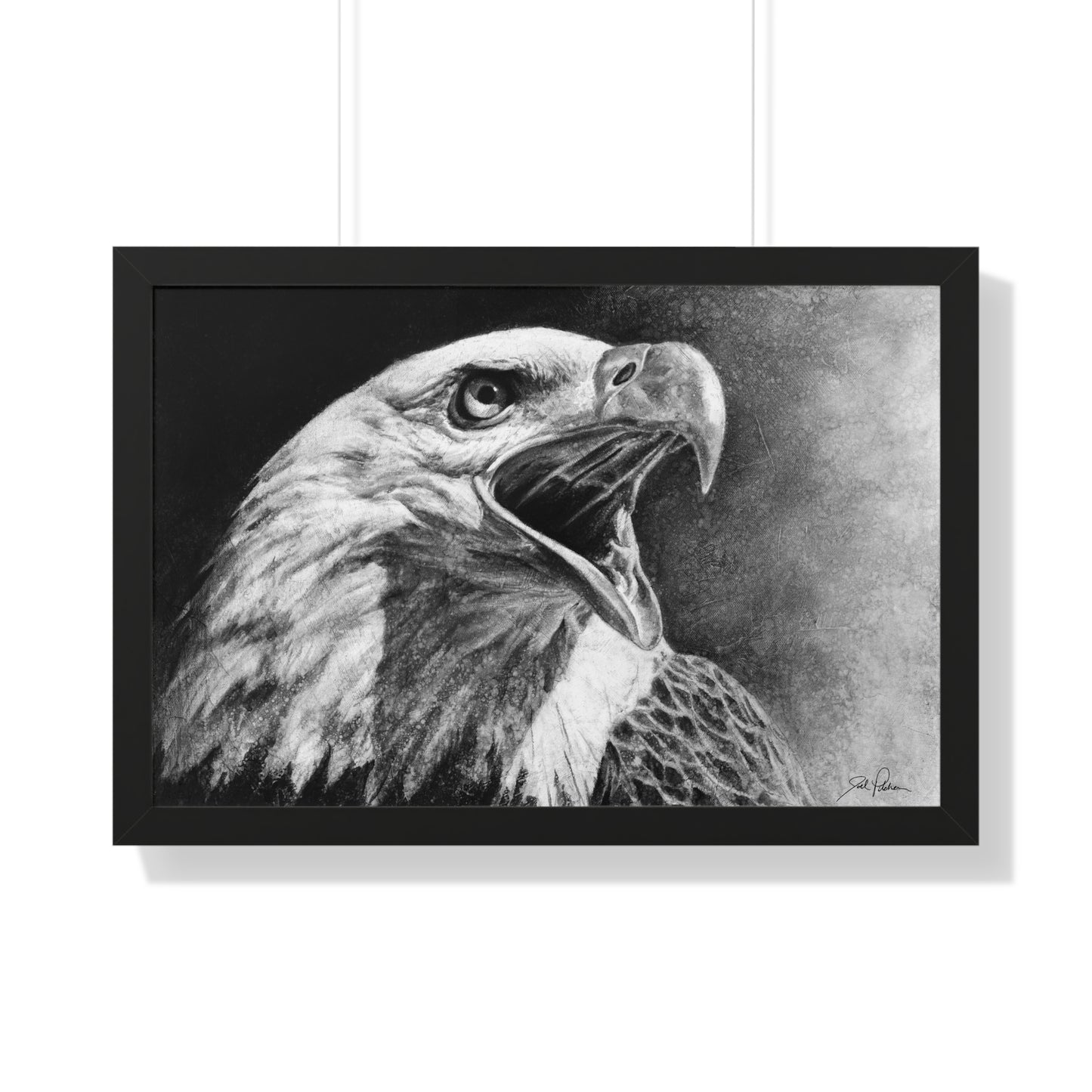 "Bald Eagle" Framed Paper Print