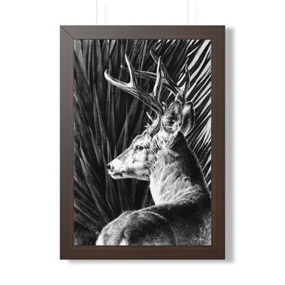"Coues Buck" Framed Paper Print