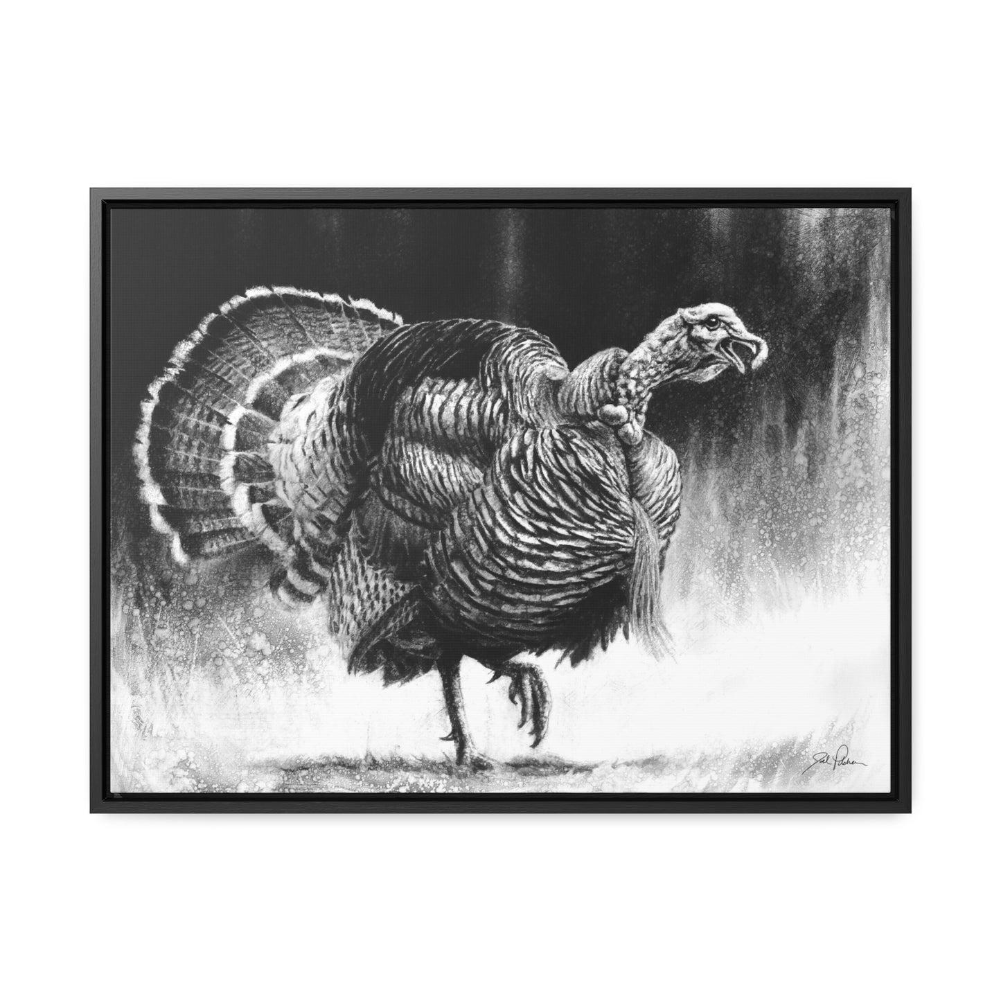 "Gobbler" Gallery Wrapped/Framed Canvas