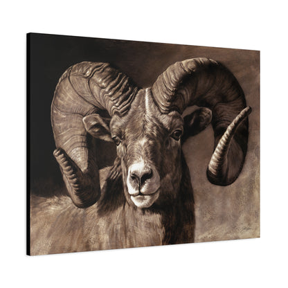 "Full Curl" Stretched Canvas