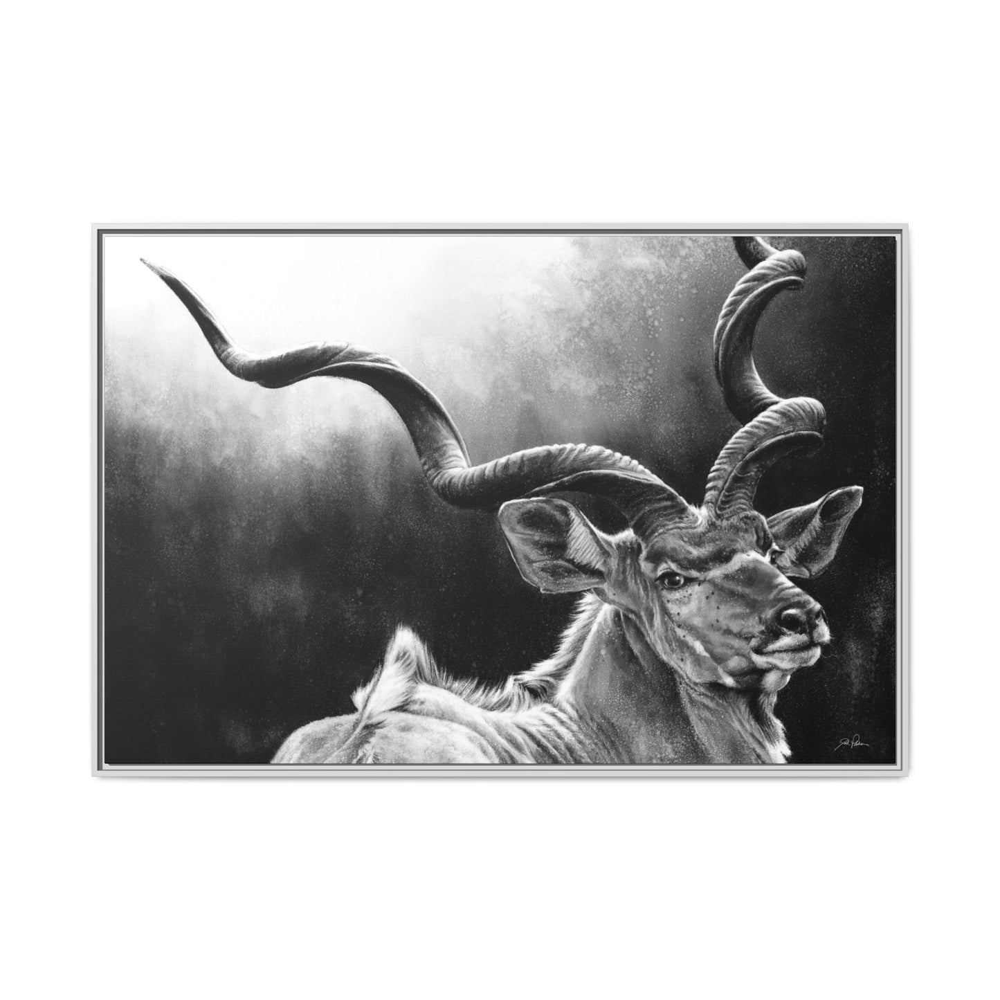 "Kudu" Framed Canvas