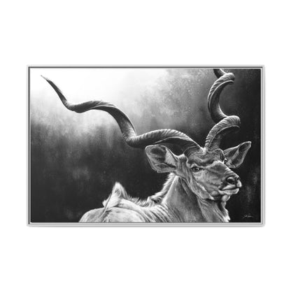 "Kudu" Framed Canvas