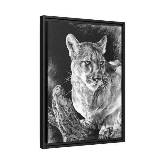 "Mountain Lion" Framed Canvas
