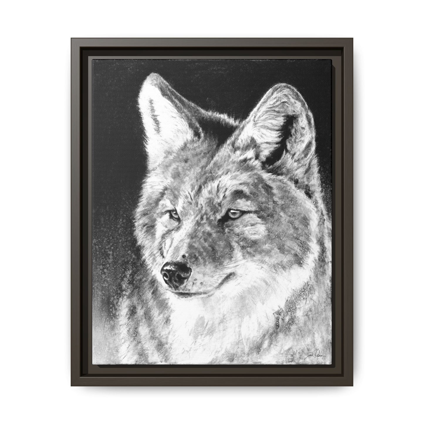 "Coyote II" Framed Canvas