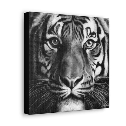 "Tiger" Gallery Wrapped Canvas