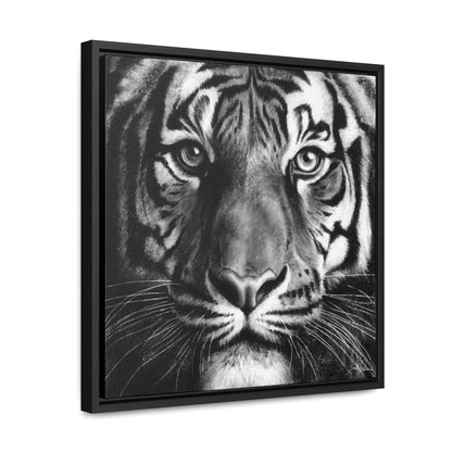 "Tiger" Gallery Wrapped/Framed Canvas