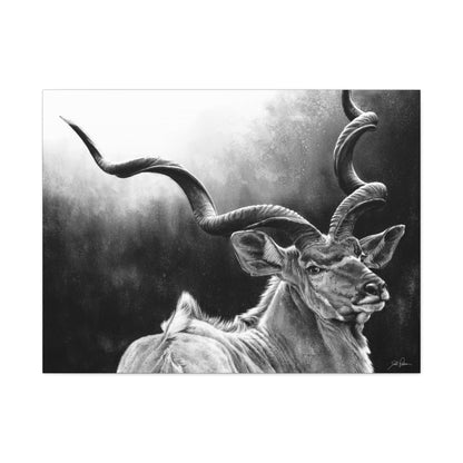 "Kudu" Stretched Canvas