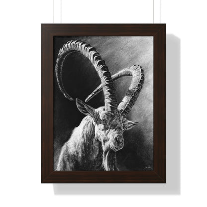 "Ibex" Framed Paper Print