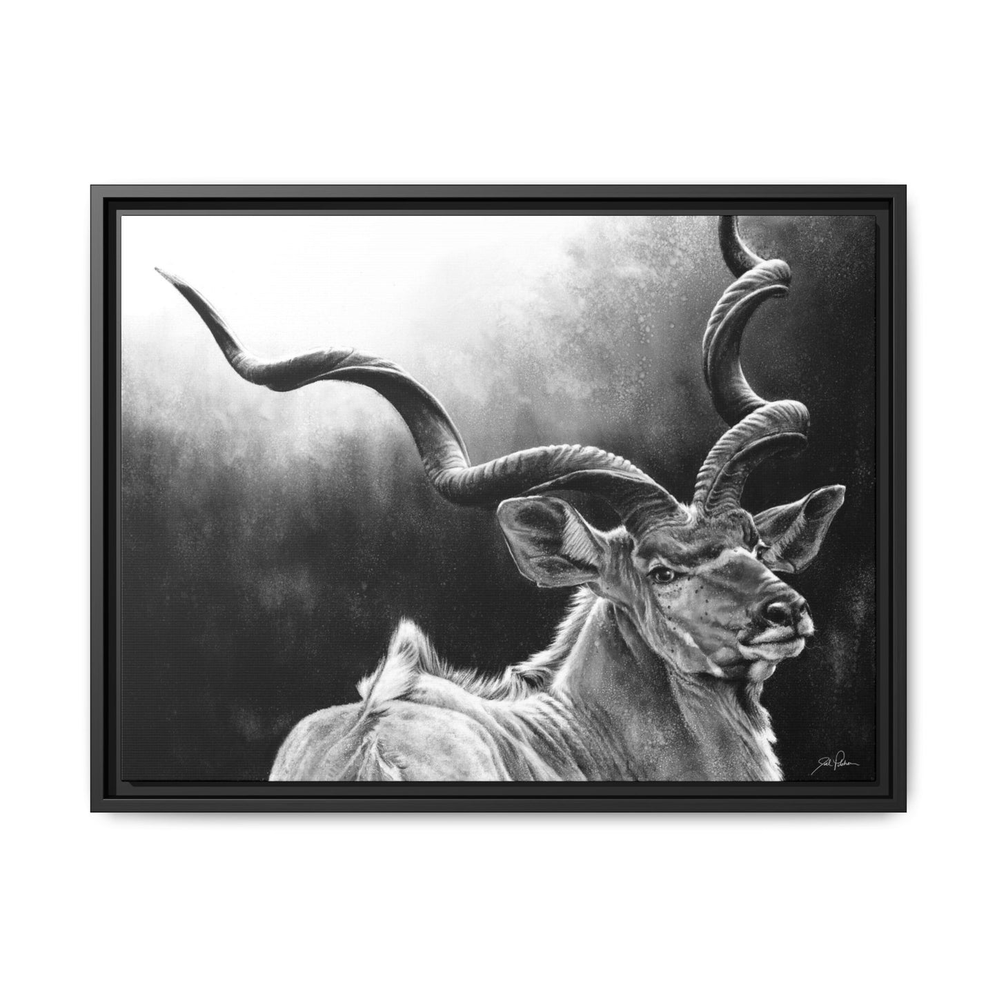 "Kudu" Framed Canvas