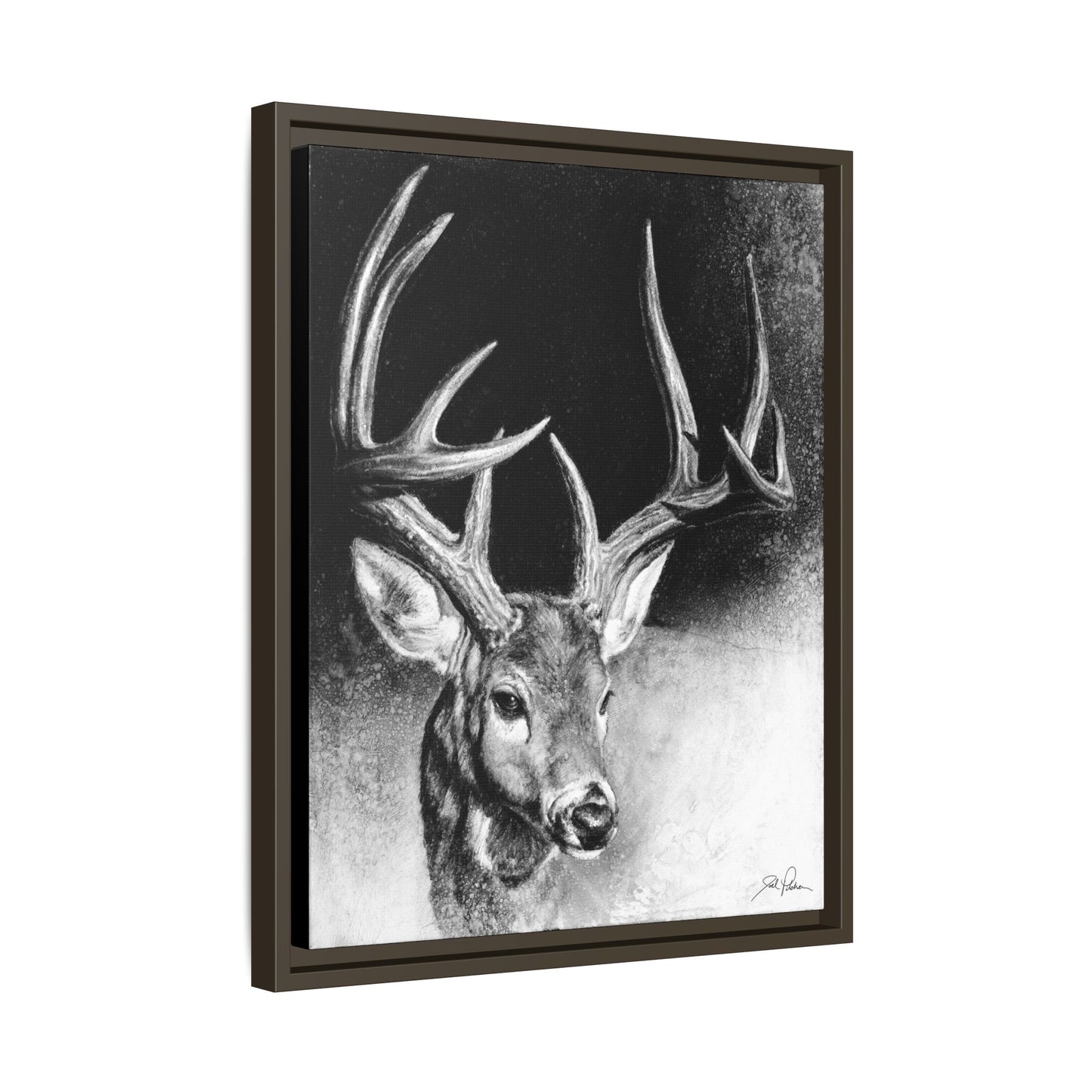 "Whitetail Buck" Framed Canvas