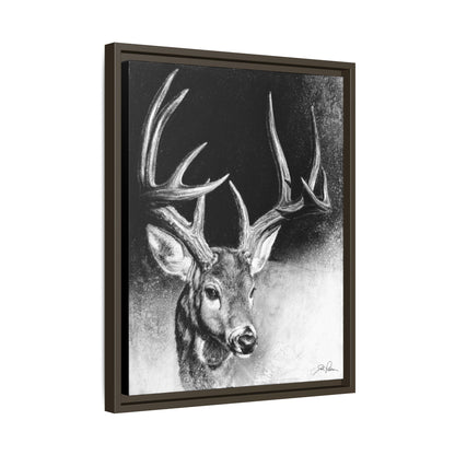 "Whitetail Buck" Framed Canvas