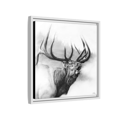 "Rocky Mountain King" Framed Canvas