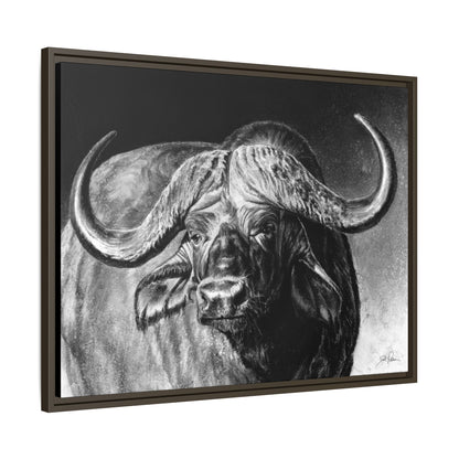 "Cape Buffalo" Framed Canvas
