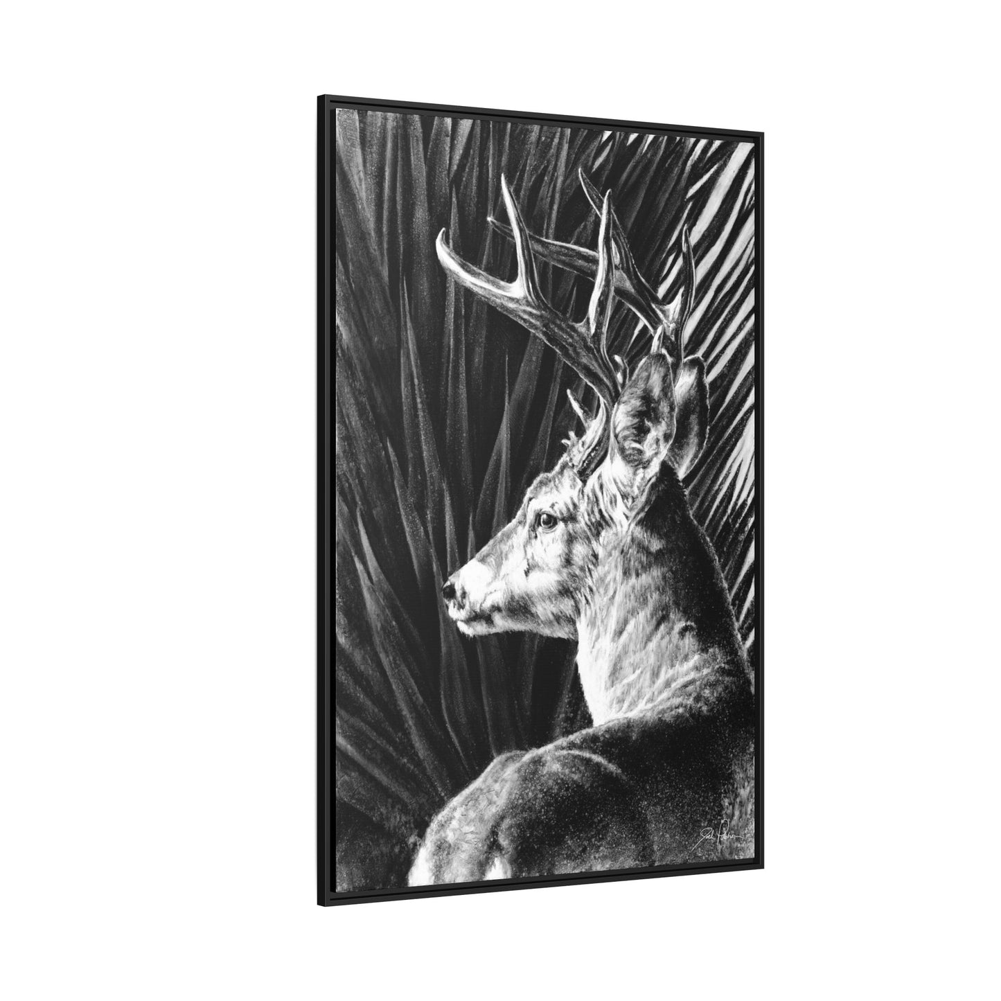 "Coues Buck" Framed Canvas