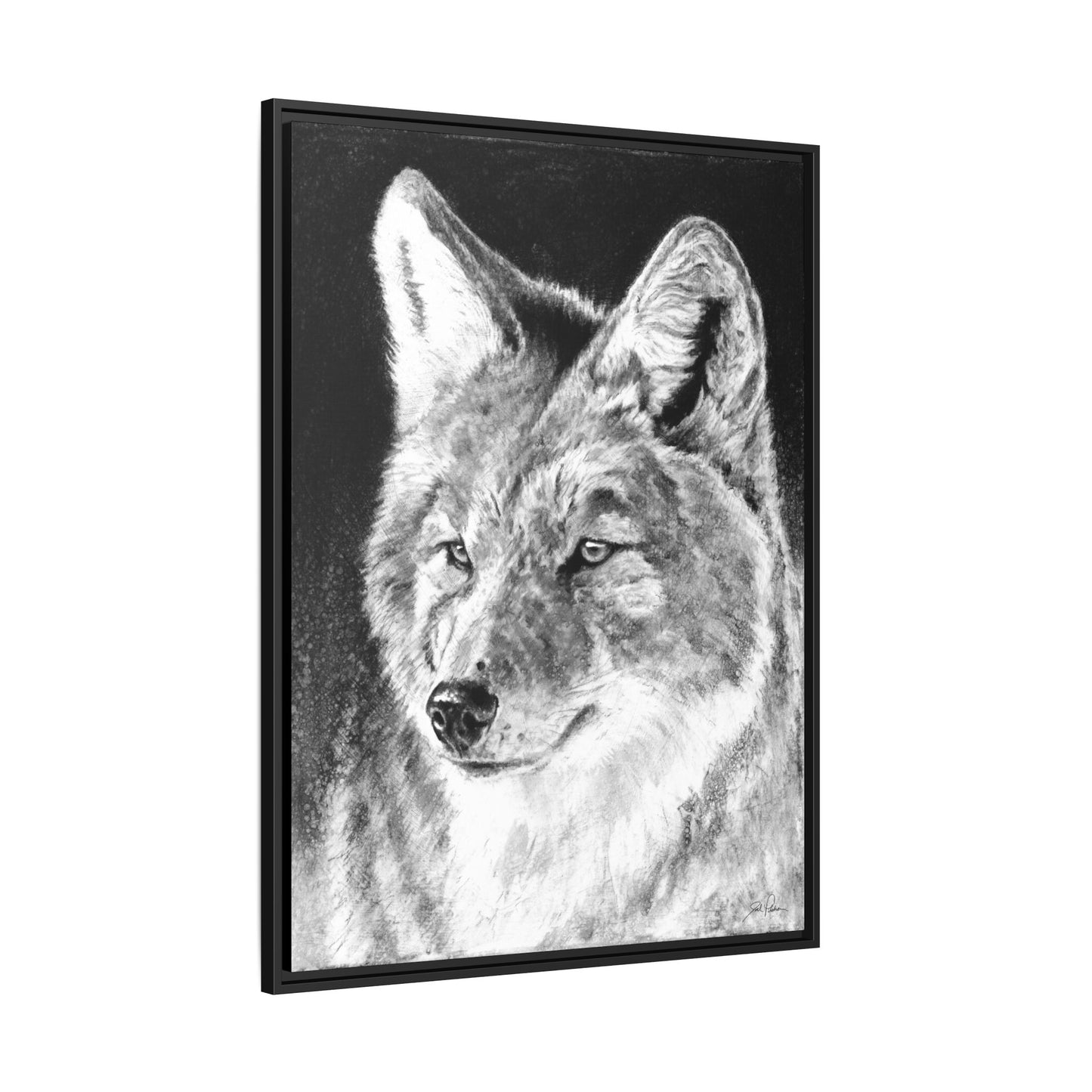 "Coyote II" Framed Canvas